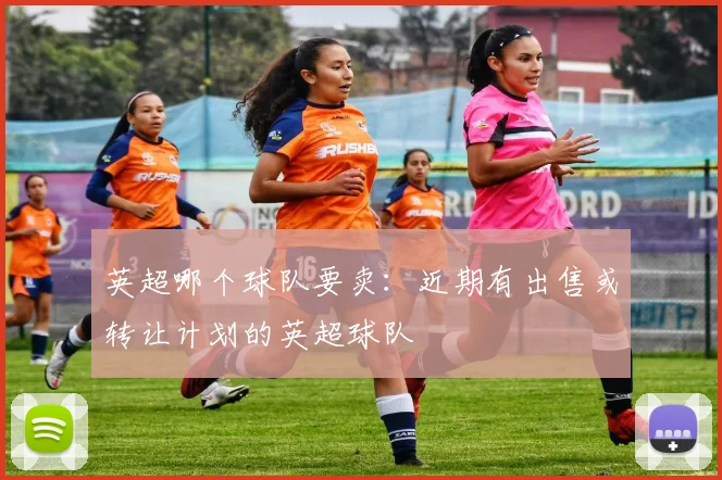 英超哪个球队要卖：近期有出售或转让计划的英超球队