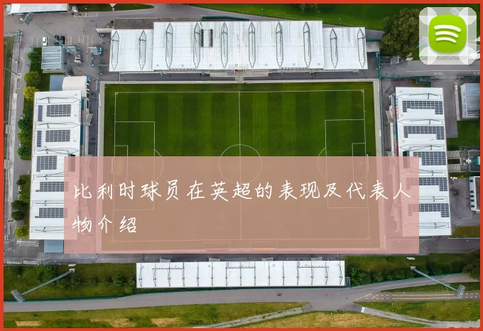 比利时球员在英超的表现及代表人物介绍