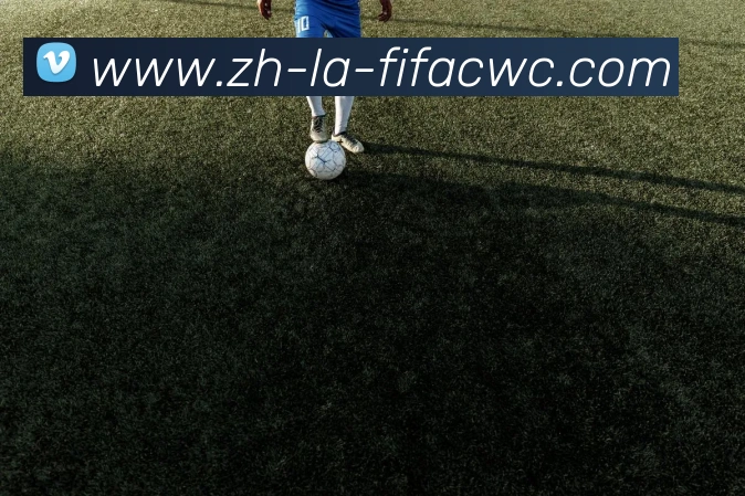 世界杯在线观看平台生态图