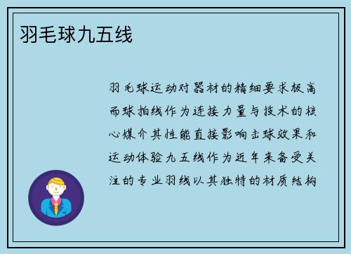 羽毛球九五线